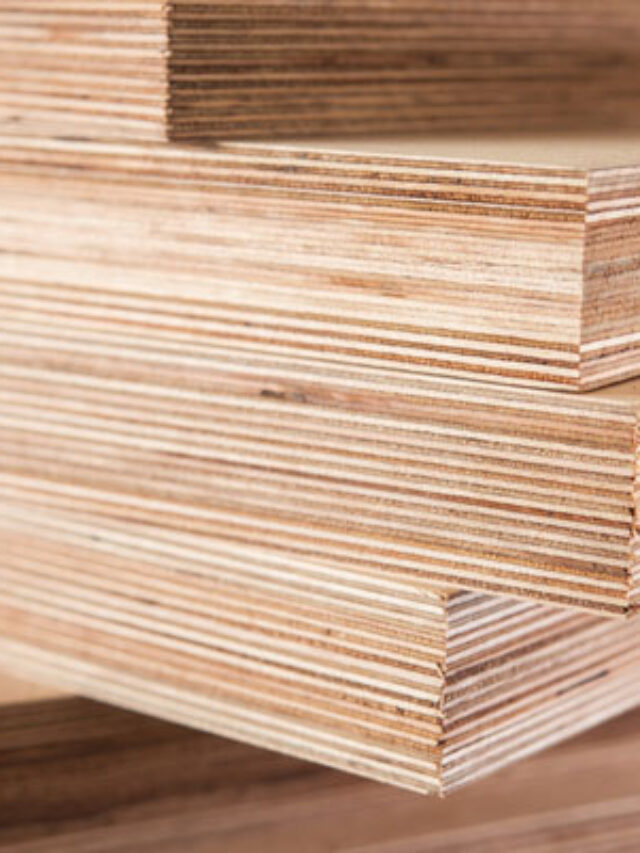 The Ultimate Guide to Plywood